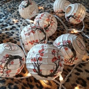 Decorative Cherry Blossom Oriental Lanterns